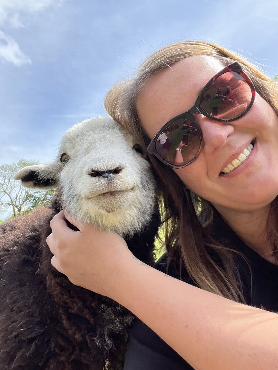 MancSaint13's tweet photo. Fantastic day @Jonatyewtree with @penroo learning all about #Herdwick #Sheep so insightful and definitely worth a visit. Best part was the snuggles with the gorgeous Herdys - best day ever! Thank you Jo! X https://t.co/85A3QGE2K3