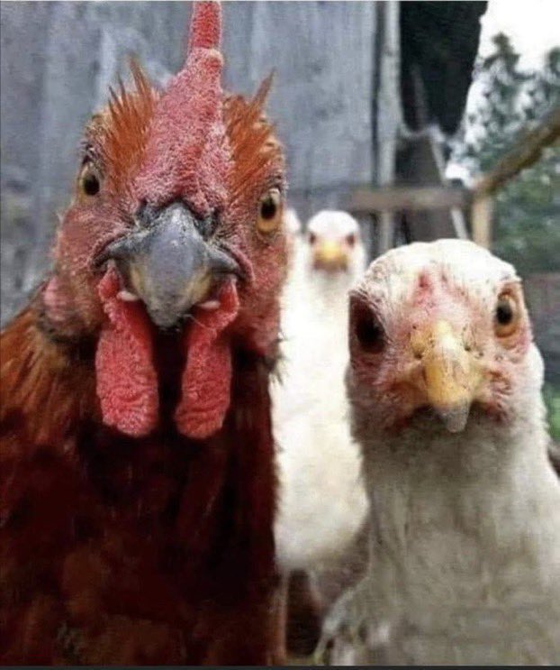 Le siège, le JLD, le greffe quant tu annonce le nombre de deferement du jour