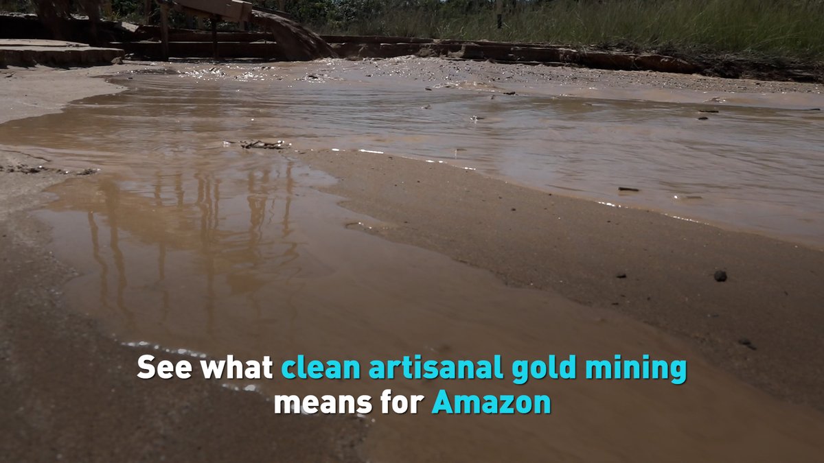 International competition to innovate clean artisanal gold mining techniques comes to Madre de Dios, the epicenter of Peru’s Amazon illegal gold mining in Peru’s Amazon. Find out more. https://t.co/JcsLqeKVud