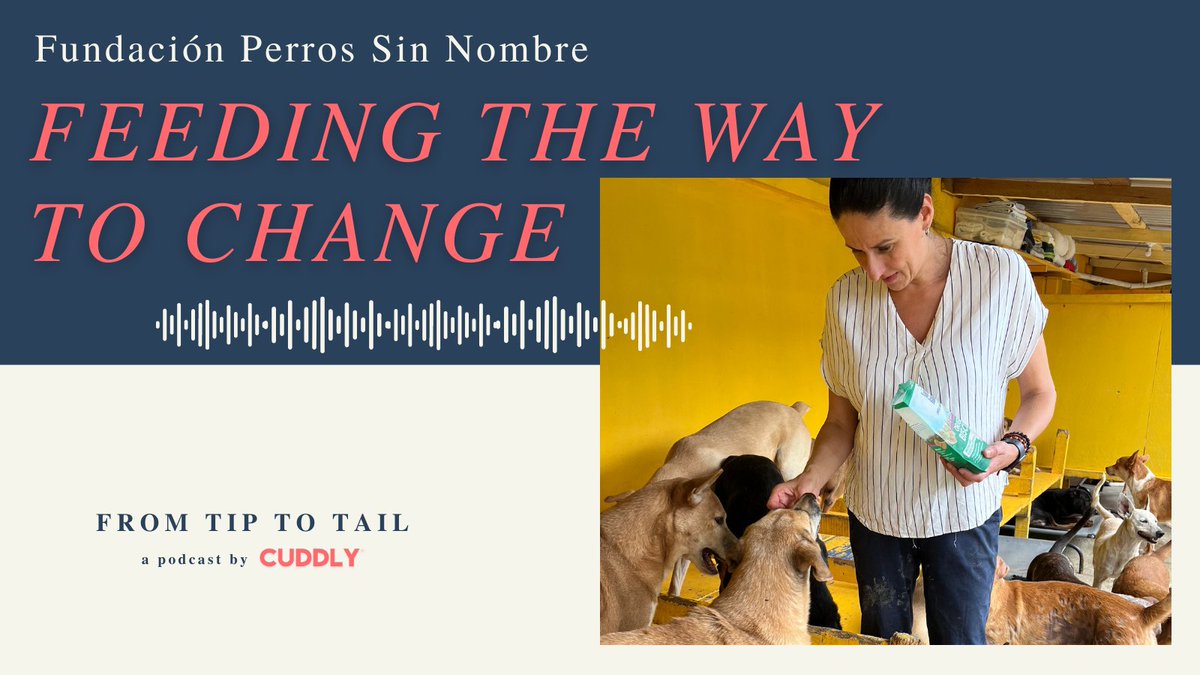Hearing this rescues drive is SO inspiring and BIG things are going to happen so they can continue making a difference!
⁠
Our #FromTiptoTail team spoke with Diana Gutierrez, founder and president of Fundación Perros Sin Nombre: bit.ly/3llo7sX

#podcast #CUDDLYpodcast