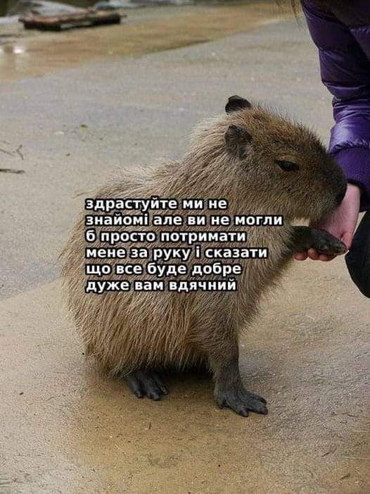 lilighterald's tweet photo. Я https://t.co/Fsnei4d3Ge