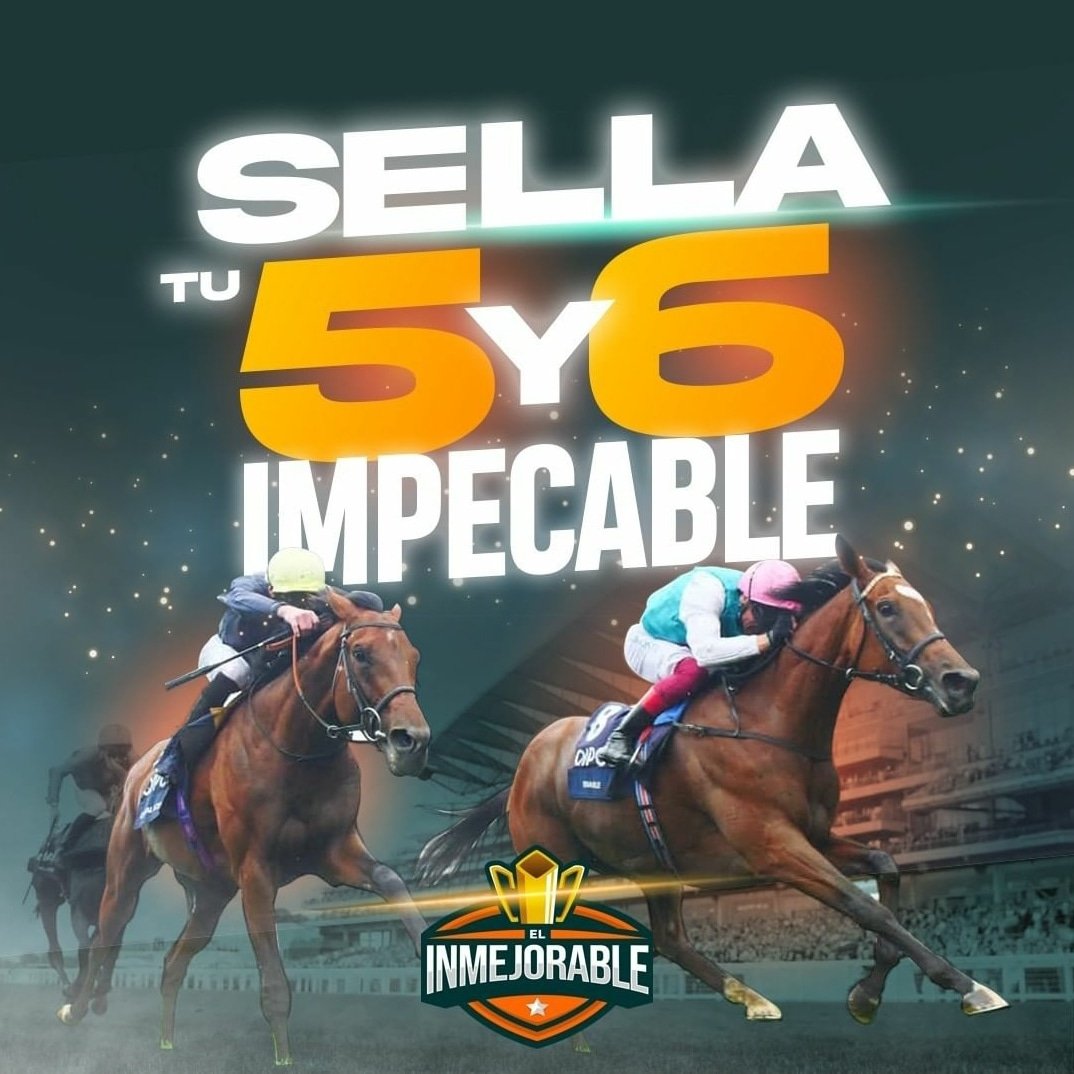 ¡A sellar el 5y6 🤩🏇! 

Juega legal y seguro con los mejores 🏆 El Inmejorable 🏆

Realiza tus jugadas hípicas y deportivas favoritas con <a href="/Elinmejorableof/">ElInmejorable</a>

#Hipismo