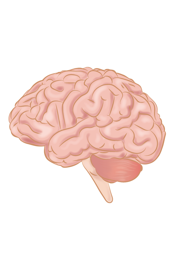 Brain vs. Brawn - a short essay for Christians working in technology
faithfultechnology.blogspot.com/2022/05/brain-…