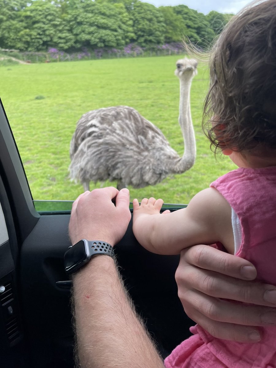 A very big 1st happy birthday to my beautiful baby daughter Aurora ❤️

We’ve been on a Safari tour today to see all the animals she absolutely loved it, 

The first day of yours was the best day of mine❤️ 

She’s the best thing I’ve ever Minted 

WEB3 DADS 💪