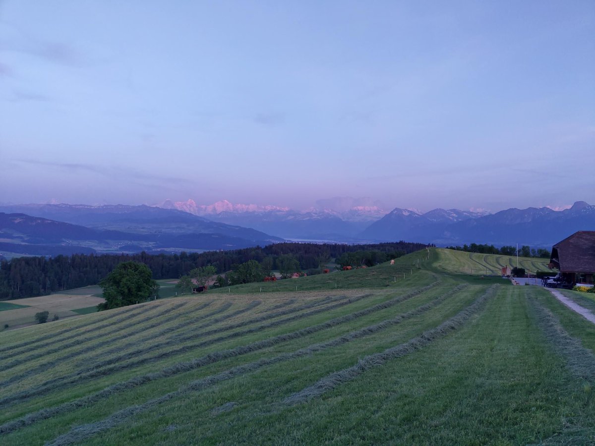 lexruee's tweet photo. #Belp #Belpberg #Chutzen  #Bern #cyclinglife #myswitzerland #switzerland #roadcycling #nature https://t.co/lyvYh4iYFM