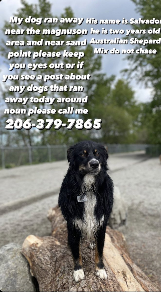 ilovejowee's tweet photo. Anyone from Magnuson Park and SandPoint area, one of our family friendโs dog ran away and went missing. If you see him please call the number posted! Thank you! #MagnusonPark #SandPoint #Seattle https://t.co/qoCplKlKhu