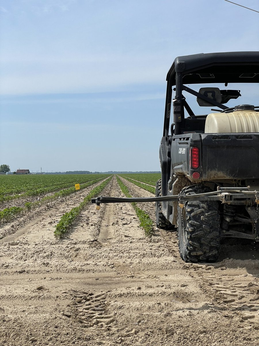 Test Plot Tuesday! Checking out the benefits of soil applied Stabilized Enzymes.