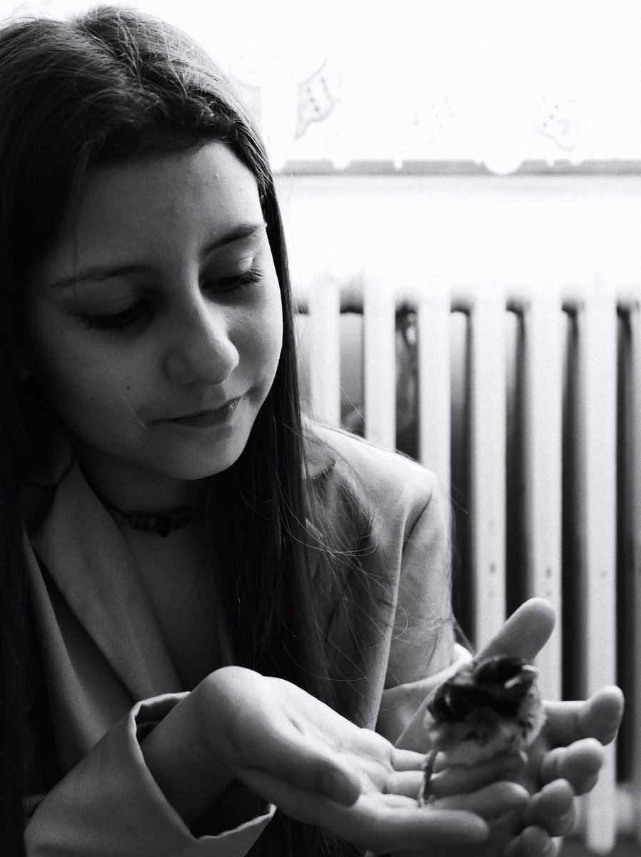 Ferhat U tweet media