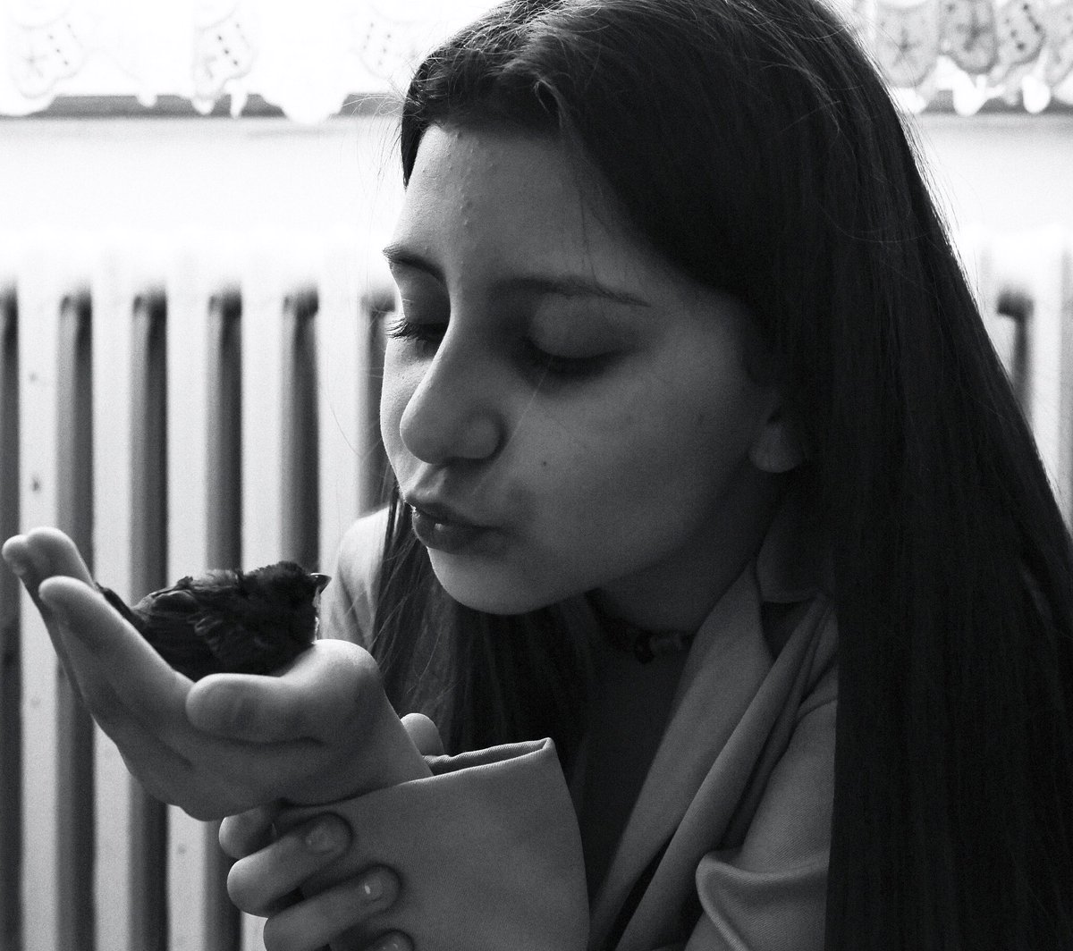 Ferhat U tweet media