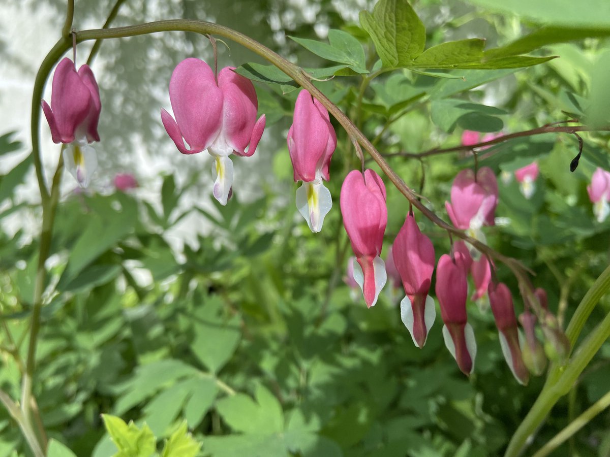 tagsalegirl's tweet image. #maypatternchallenge