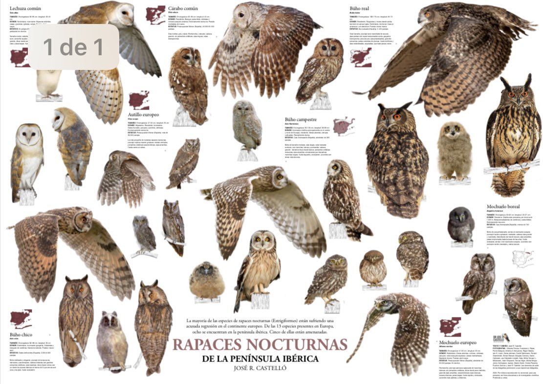 Conoce y disfruta de la biodiversidad