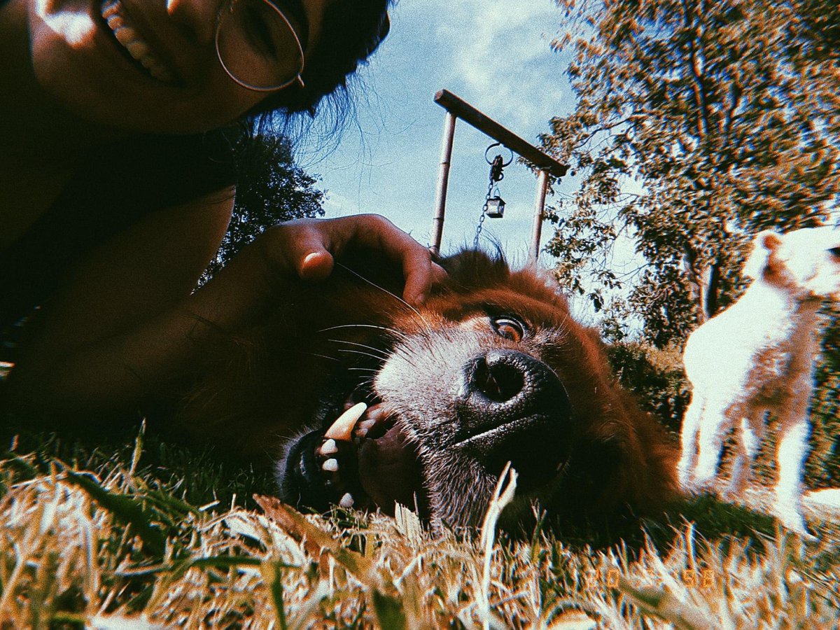 vilafernanda1's tweet photo. Ojalá poder verte por última vez para decirte cuanto te amo y todo lo que dejaste en mi. No me pude despedir pero aunque sé que ya no estás, te espero, y te voy a esperar toda la vida. Te amo para siempre gordo 🤍 https://t.co/GDARAeCTMM