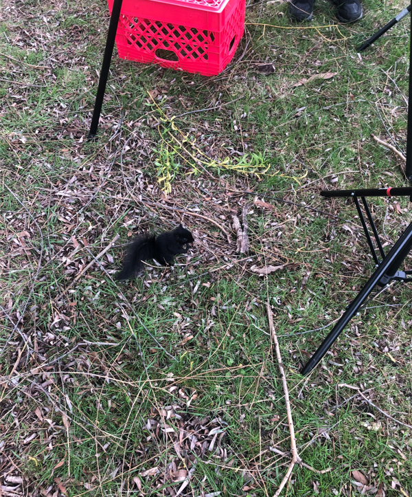 GreatLakesNow's tweet photo. Check out our tiniest production assistant from the Great Lakes Now host shoot at Belle Isle for the May episode, "Water's True Cost."
Watch the premiere Wednesday May 25 at 7:30pm ET on @detroitpublictv - OR check local listings!! #GLNWTC #GreatLakes https://t.co/xFGXv4cGAo