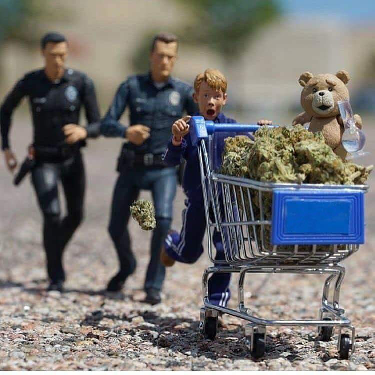 Godzmazter's tweet photo. #GodzWeedz #DankDude #RealAmericanStoner #PeaceLoveAndHippieBeadz #MakeCloudz #Stoner #DontPanicItsOrganic #Dank #LegalizeIt #Weed #fUCkPaiN #FreeYourMind #OneLove #pEaCe #Hippie 

Leave Ted alone! 😱
This is over that one wonky wheel isn't it? 😏 https://t.co/iYbFh9XsaL