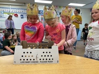 Argos Schools tweet media