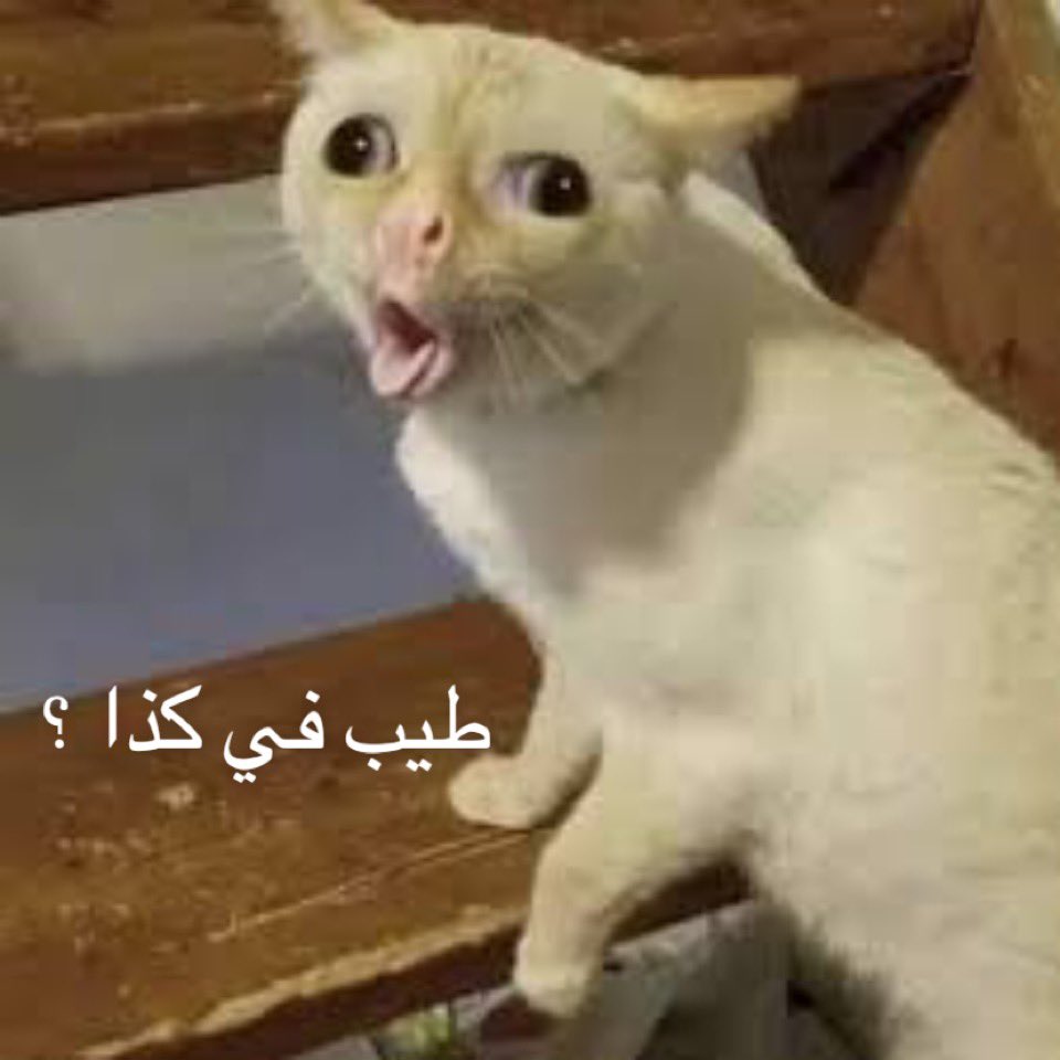 Dr_sheroo's tweet photo. 👩🏻‍⚕️: في استفراغ؟
👳🏽‍♂️: …. "المريض ما يتكلم عربي"
👩🏻‍⚕️: do you have vomiting?
👳🏽‍♂️: …. "ما يتكلم انقليزي برضوا"
👩🏻‍⚕️: https://t.co/bvHMsTKBWl