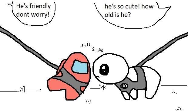 venus ✧ (@misatosmullet) on Twitter photo 