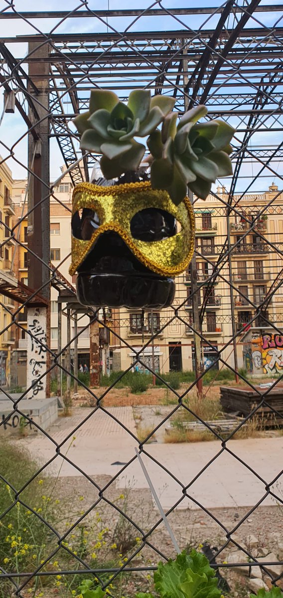 AAbaceria's tweet photo. @BCN_Ecologia T'agradaria col.laborar a enverdir la #viladegracia planta i cuida un “escocell” a les tanques de l’abaceria @bcn_ajuntament ens vol corresponsabilitzar en el manteniment del verd a la ciutat...les #veïnes ho fem tot i que @eloibadia @MercatsBCN @pscgracia no ens escolti https://t.co/U1pwcqpOv4