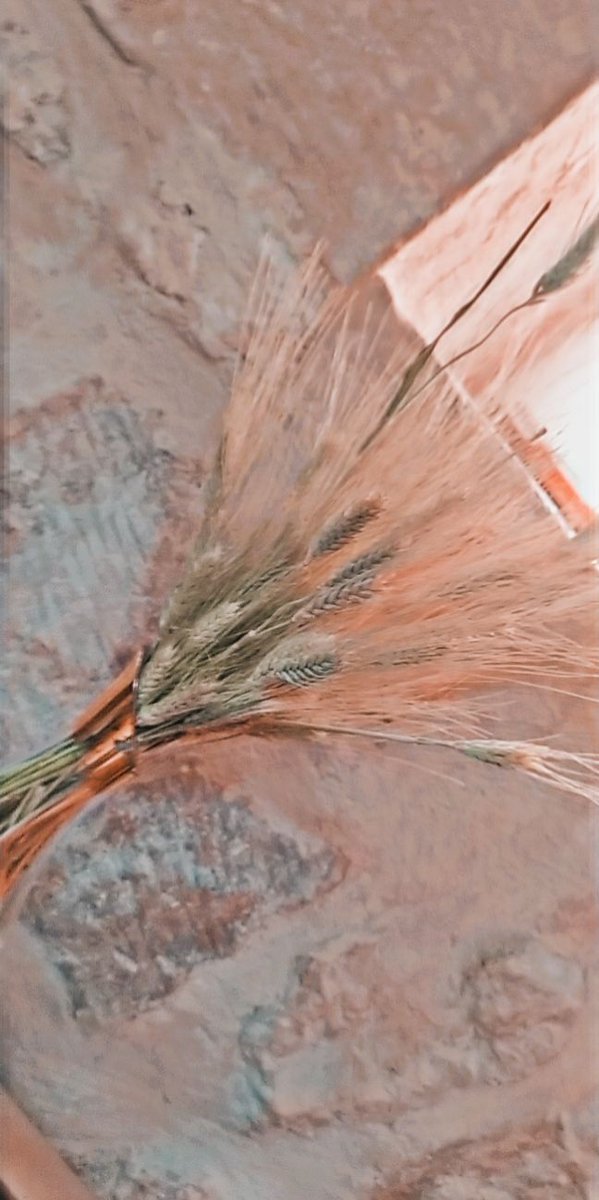 Her insanın içinde garip bir yol hikayesi vardır başı sabır sonu umut.
#hayatıniçindengerçekler