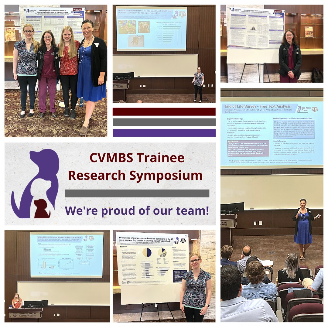 Check out all the excellent #research our team has been working on!
 
We had team members <a href="/tamuvetmed/">Texas A&M VetMed</a> present their research at the #CVMBS Trainee Research Symposium. We're proud of our team!
 
The Dog Aging Project is a collaborative effort spanning many academic institutions.🐾