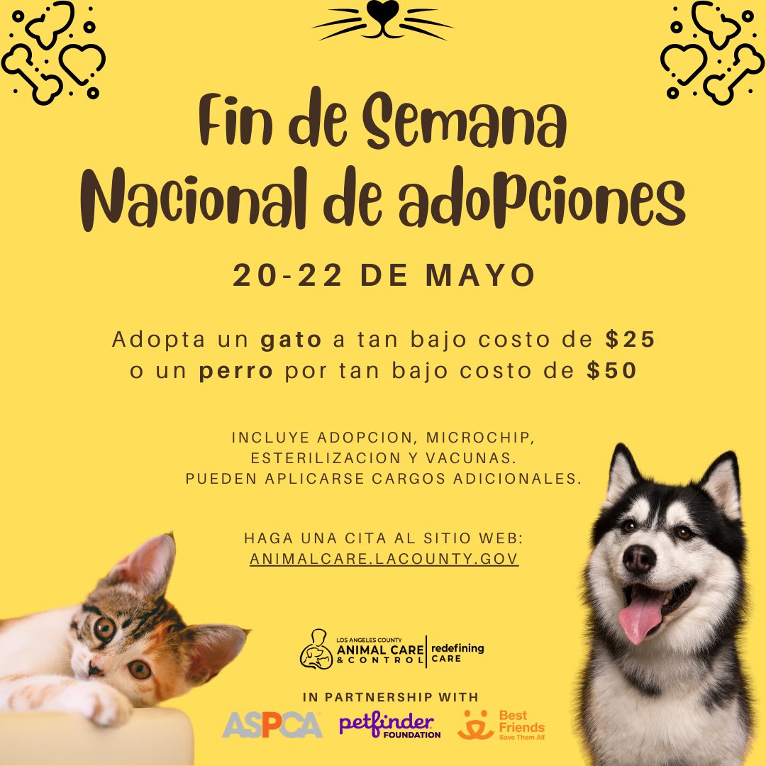 LA Co Animal Care (@LACoAnimalCare) / Twitter LA Co Animal Care (@LACoAnimalCare) / Twitter