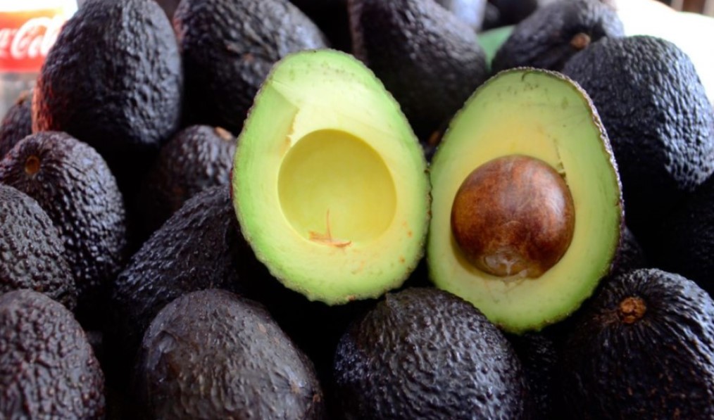 Costa Rica elimina medida que limitaba la importación del aguacate mexicano tipo hass bit.ly/3sIPHEL #NM935