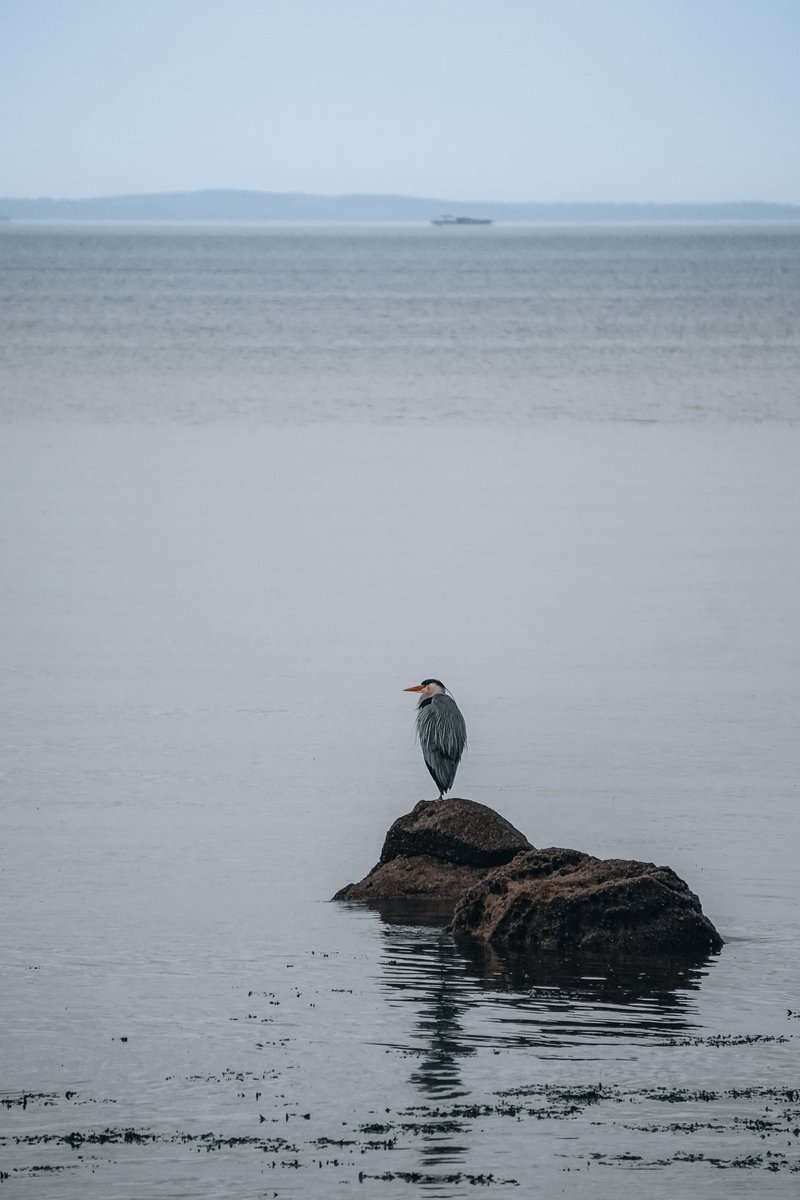 Peaceful evening at Cramond Beach with <a href="/amgbrock/">Andrew Brock</a>