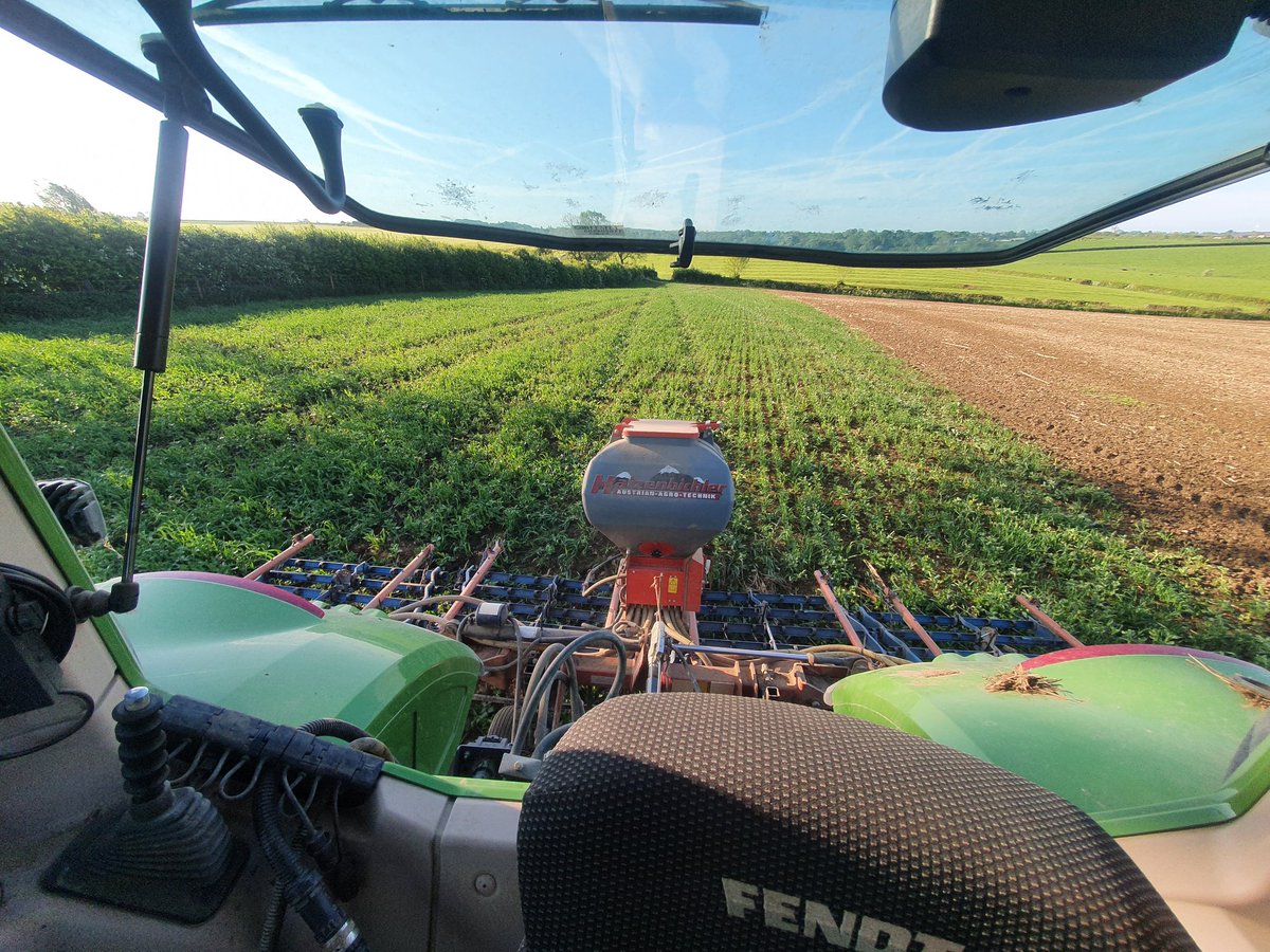 Clover mat going in today to the boats trial and under the sunflowers drilled last week. @EdCTBrown <a href="/ssmsoilhealth/">Sustainable Soil Management</a>
