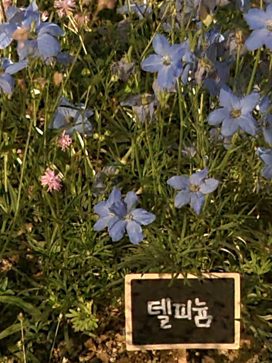 220518 | تحديث جونكيو عبر ويڤرس : 

"رأيت التريجر ميكرز عندما مررت. انه انتم. أليس كذالك.؟😝"