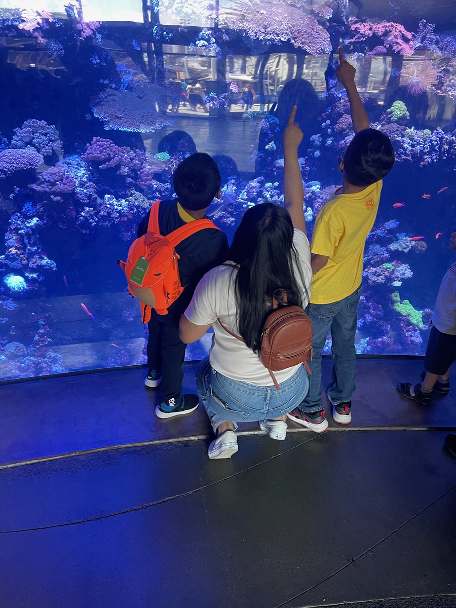 Outing <a href="/AquariumPacific/">Aquarium of the Pacific</a> 🐠🐟🐠🦈
#DeepBlueSea #OceanAwareness #MakingMemories