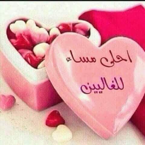Mosa Amir tweet media