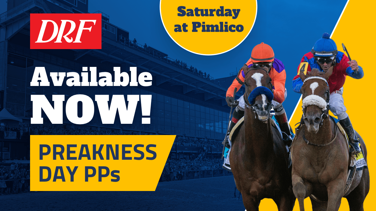 Daily Racing Form on Twitter: