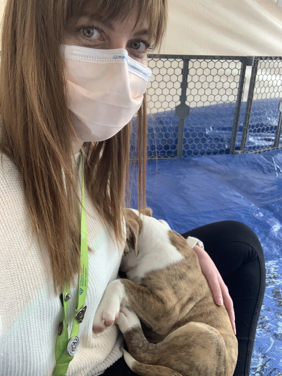 Can we have puppies at work every week!? #BetterTogether <a href="/THP_hospital/">Trillium Health Partners</a>