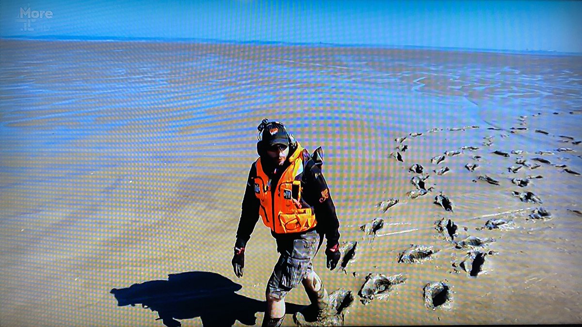 Hovercraft History Hunters tweet media