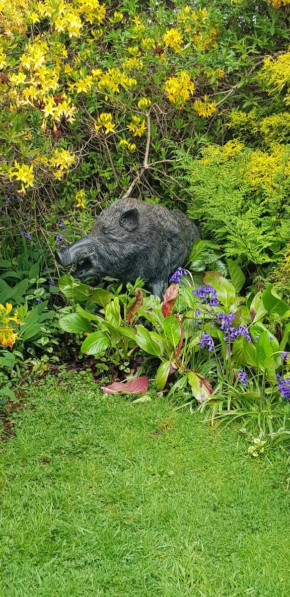 21CScotland's tweet photo. Great visit @AttadaleGardens art by humanity and nature https://t.co/izE2AnCm4z