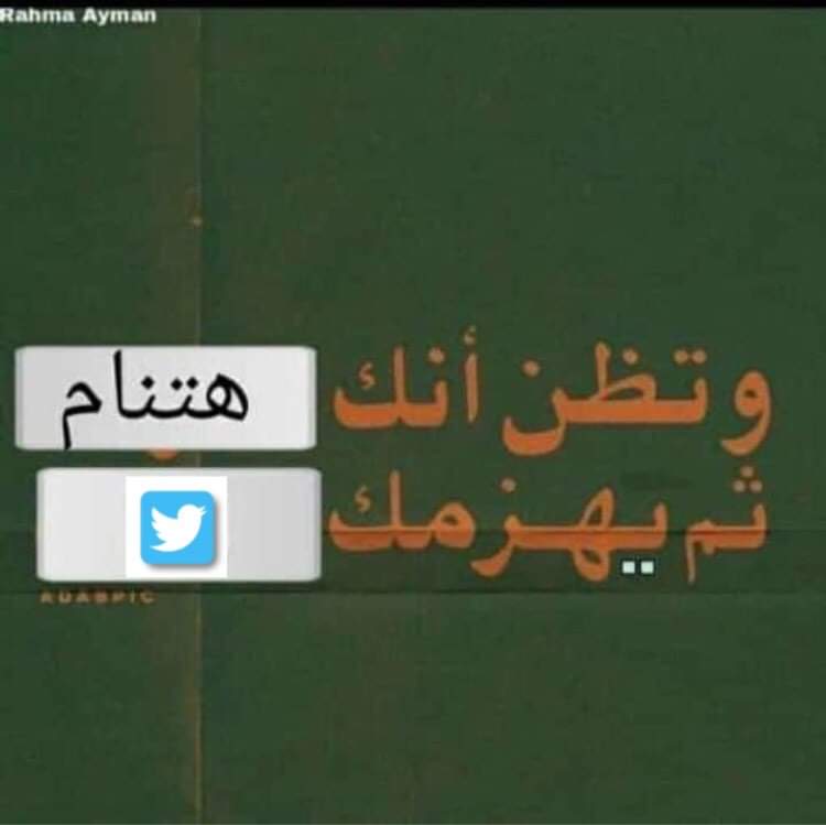 Toonzatt's tweet image. Everynight