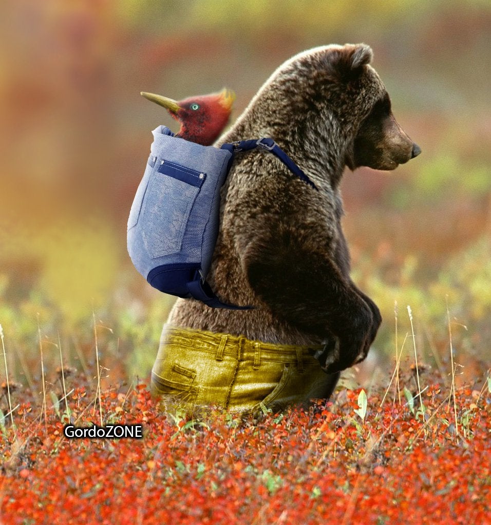 FTEfJQ8X0AcMvG5?format=jpg&name=medium