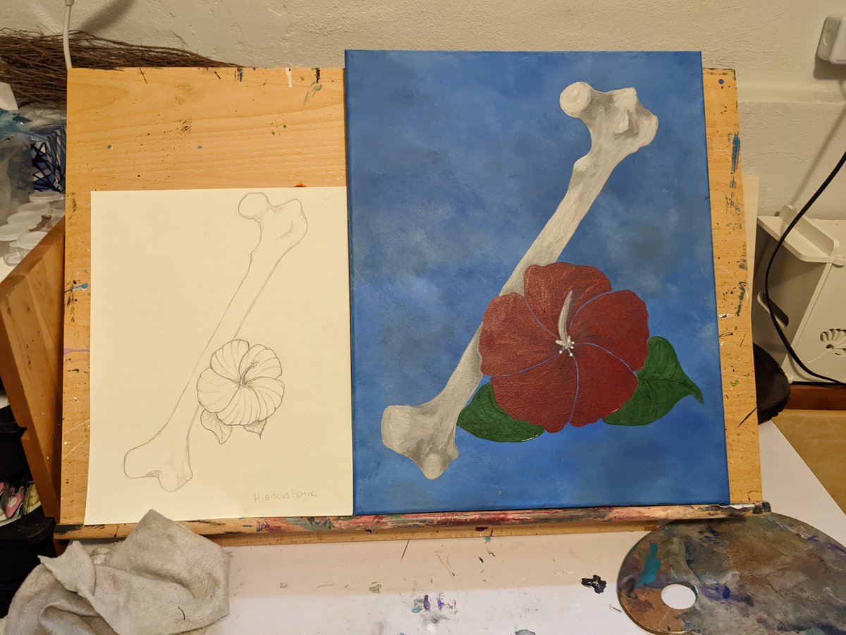 MegzArtRoom's tweet photo. Bones and Flower Series: Hibiscus/Femur
(acrylic on canvas)
#bones #Flowers #acrylicpainting  #painting   
#madeinottawa #ottawaartist #ottawa #ottawaartists #artottawa #shop613 #support613 #local613 https://t.co/obXB1cOYys