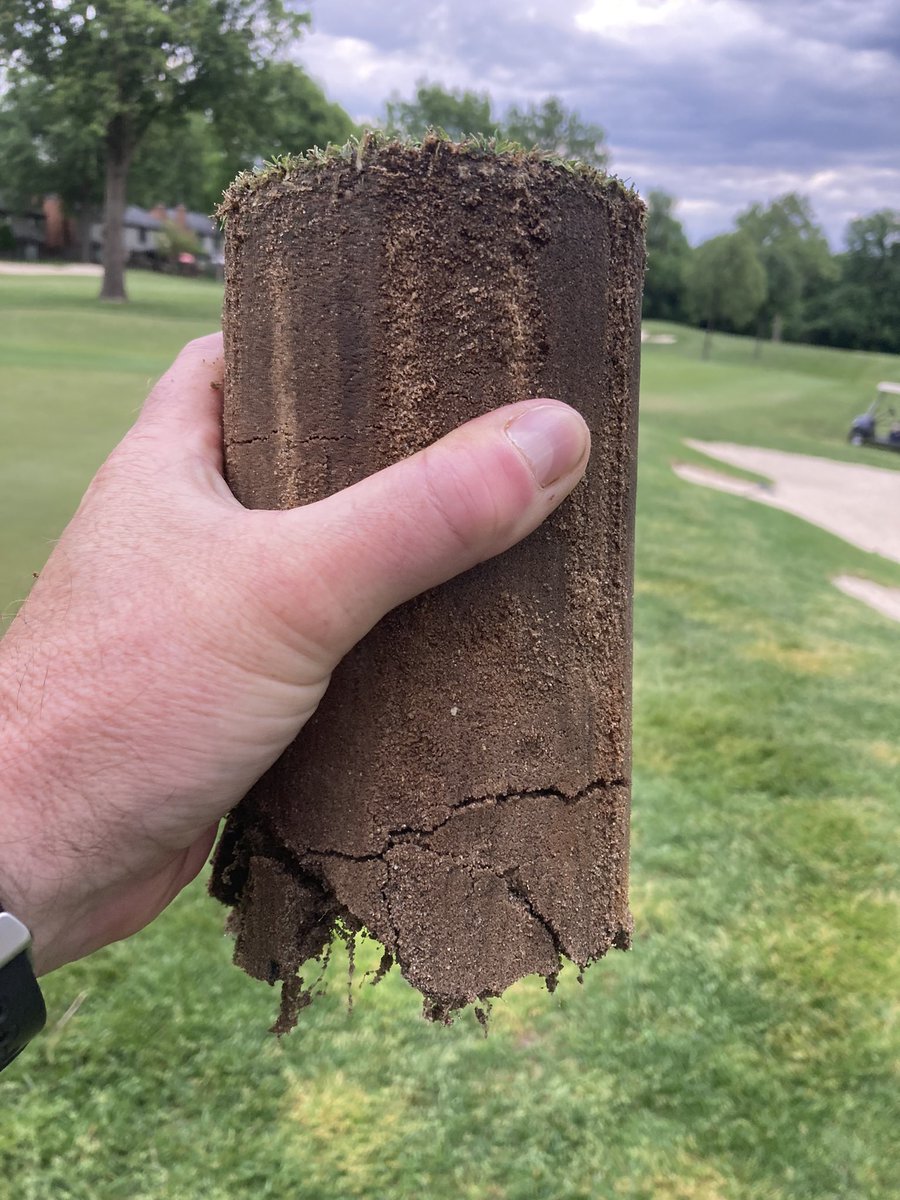 Jeff Sexton, CGCS tweet media