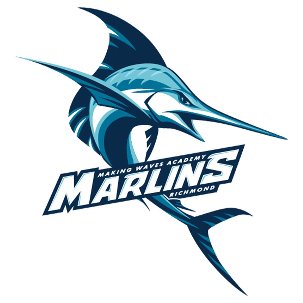 Music Career Map tweet media