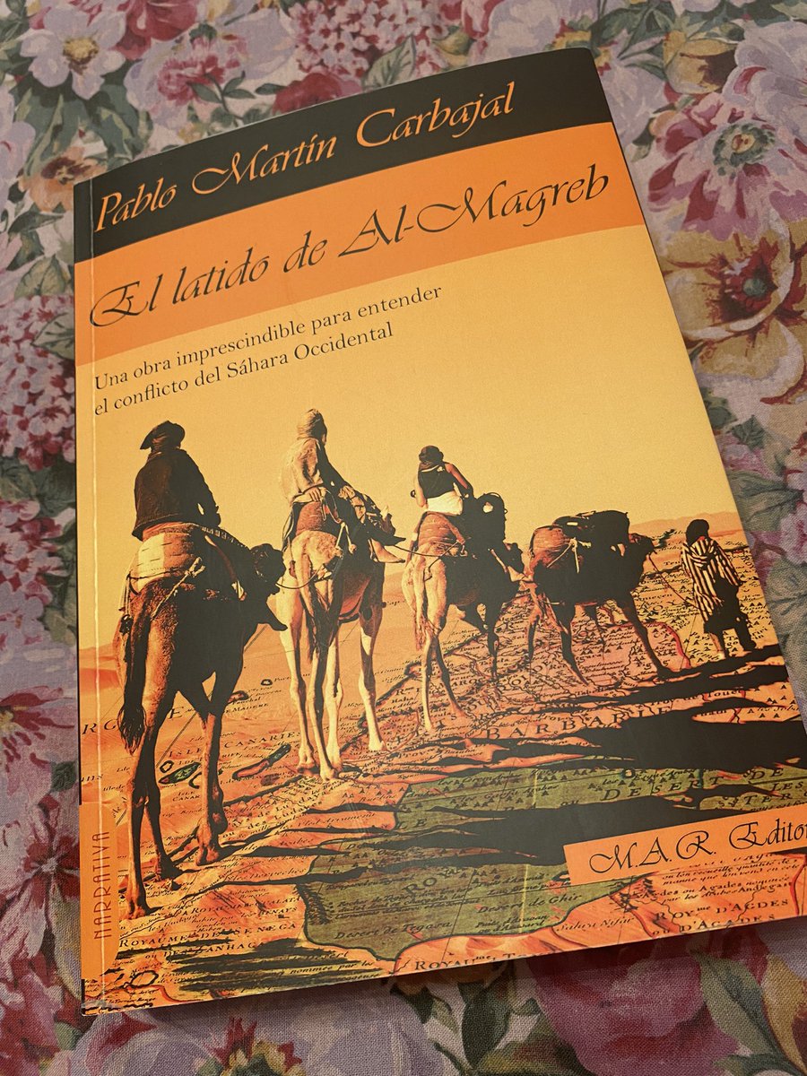 Saray Encinoso Brito tweet media