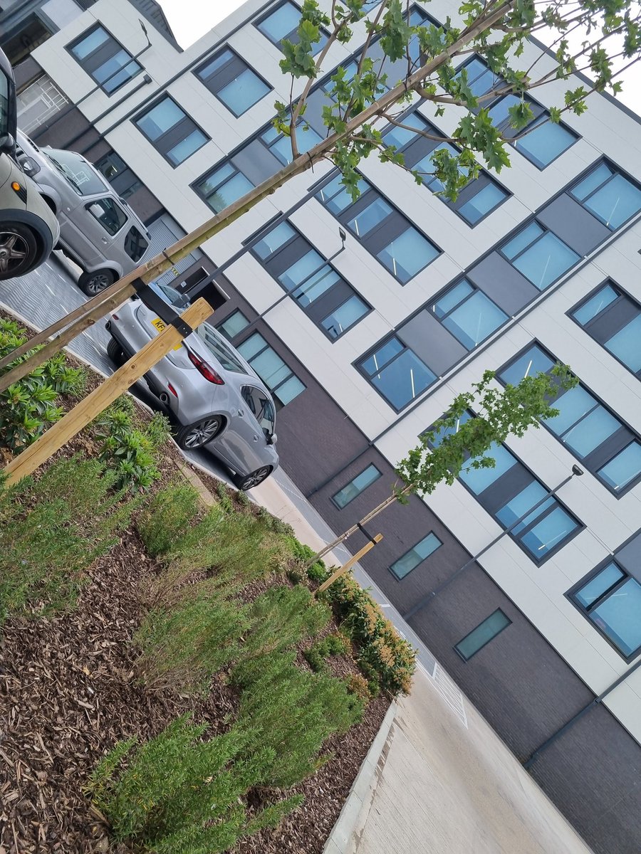 MGoodwinFreeman's tweet photo. Just back from the #HatchEnd Association at @HarrowArts with constituents📍

Earlier I held a meeting at #ForwardDrive to discuss improving @harrow_council's website &amp; making it easier for residents🖱

Then I attended a training session at the #Harrow Civic Centre📚
#HardAtWork💙 https://t.co/YYq8i2QeI9