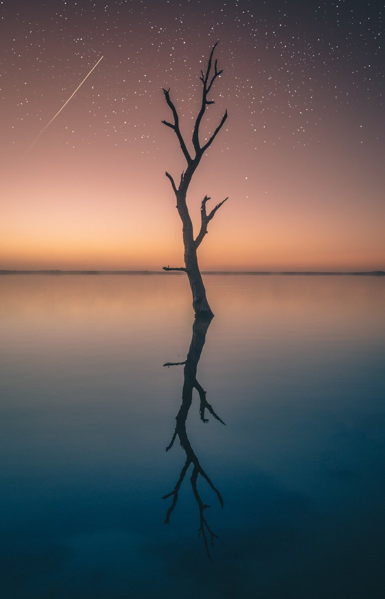 vastdepth's tweet photo. Serenity https://t.co/ahuVIbsFWy