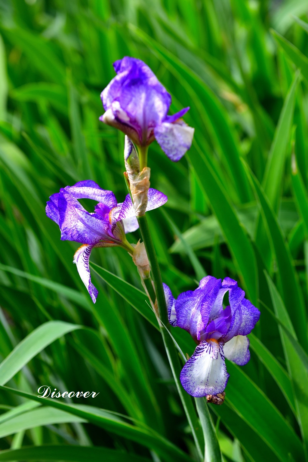 田神晋吾 on Twitter 