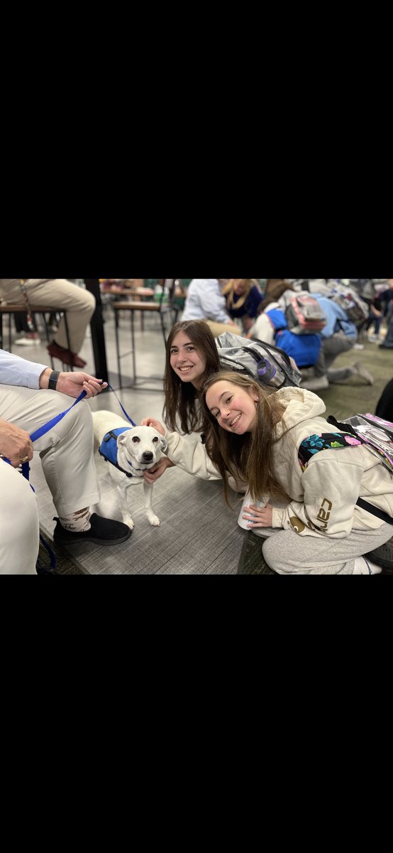 SOS_LakeOrion's tweet photo. Therapy dogs always bring smiles and make the day better! Thanks to all our new 4 legged friends and their persons for making LOHS brighter today! #losourcesofstrengthweek https://t.co/NLoEwVJ69H