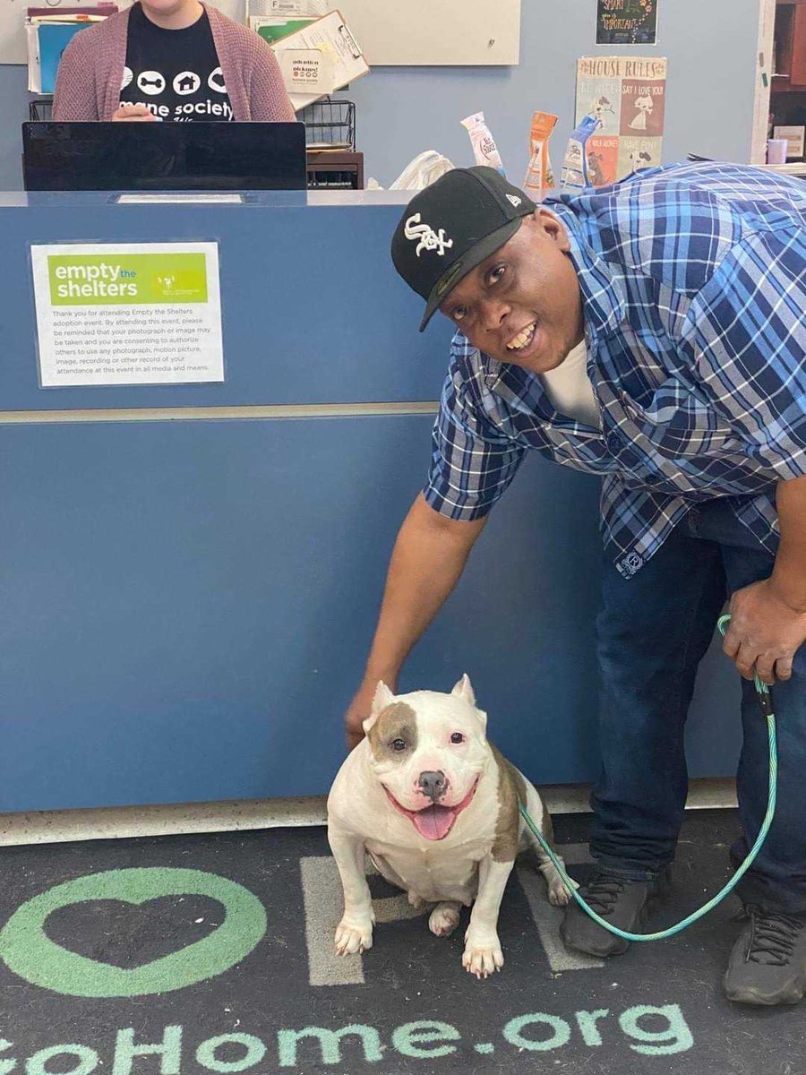 dog_rates's tweet image. This is Ginger. She was stolen from her family in 2017. Her human, Barney, never stopped searching for her. He would visit any shelter dogs that resembled her in the slightest. Last week, he found her. “As soon as they saw each other, there was no doubt.” 14/10