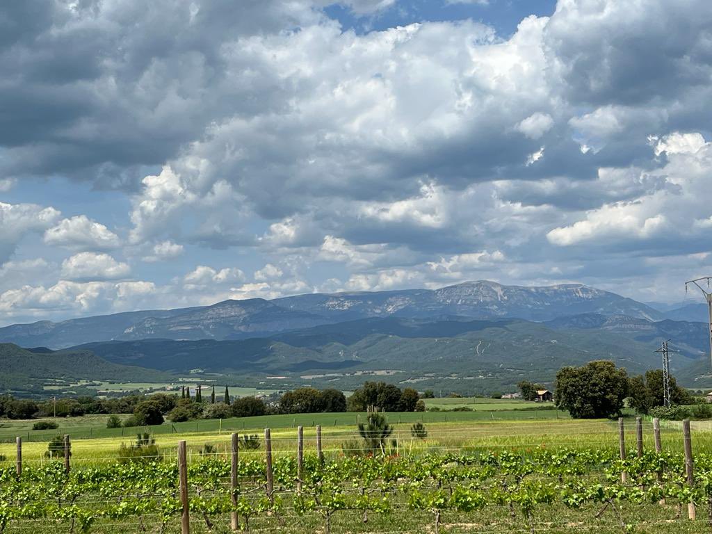 CugatGloria's tweet photo. Gràcies @easolsones per la feina que feu formant persones per al sector forestal, agrari 🌾i 🐑ramader👩🏻‍🌾🧑🏻‍🌾!! una jornada de treball per compartir projectes, inquietuds i donar-me l’oportunitat de tornar a la bonica i estimada Solsona!! Som FUTUR!!! @agriculturacat https://t.co/YD0P9TYJqq
