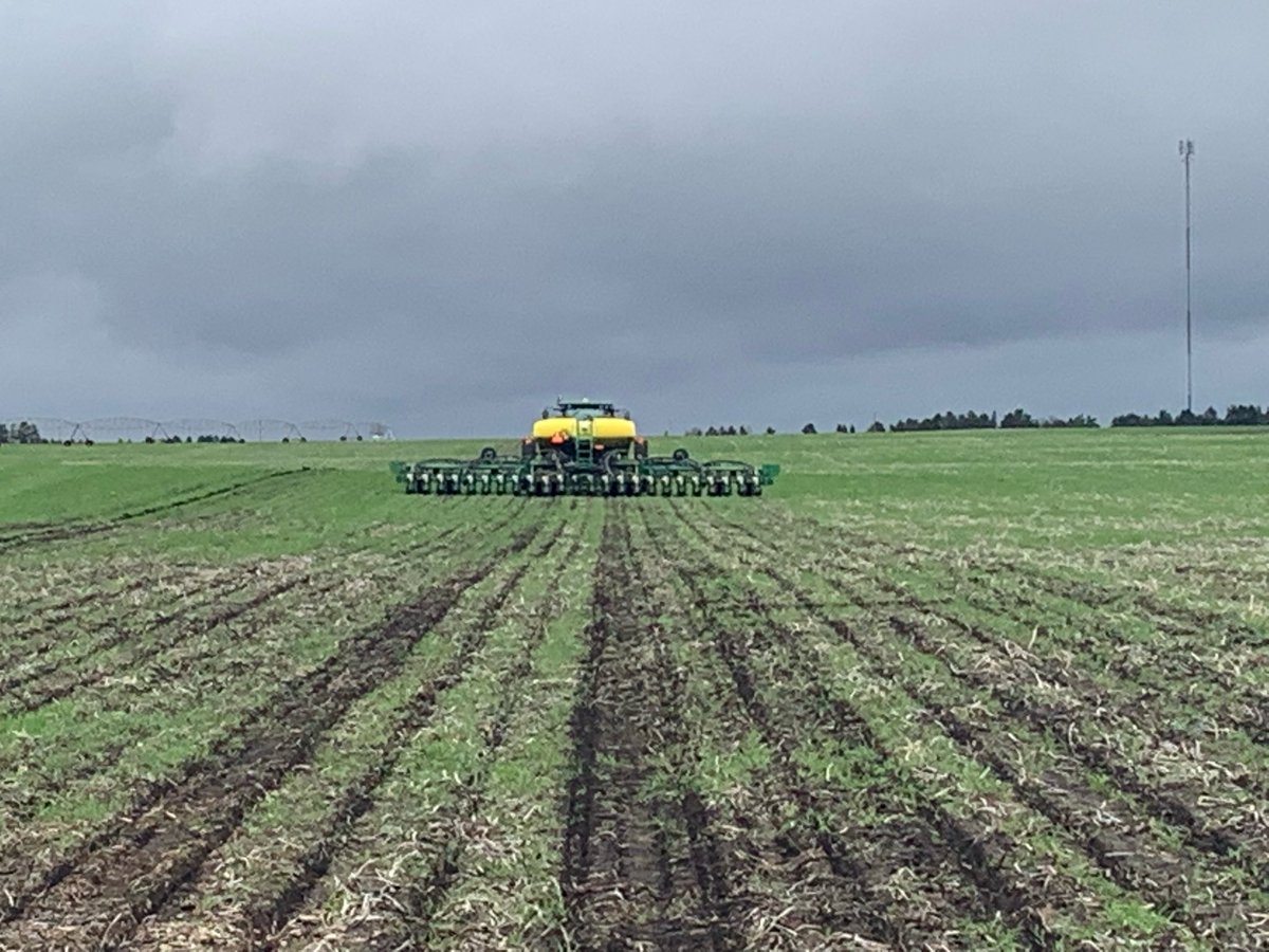 MaizexWest's tweet photo. It was an exciting day for @MaizexWest and @HeritageCoopLtd as our first grain corn trial went in by Brandon MB! A big thanks goes out to Kelly Evans for putting in the trial!

Varieties in trial: MZ1200, MZ1340, MZ1544, and MZ1688 https://t.co/1ZnlNLDHZY