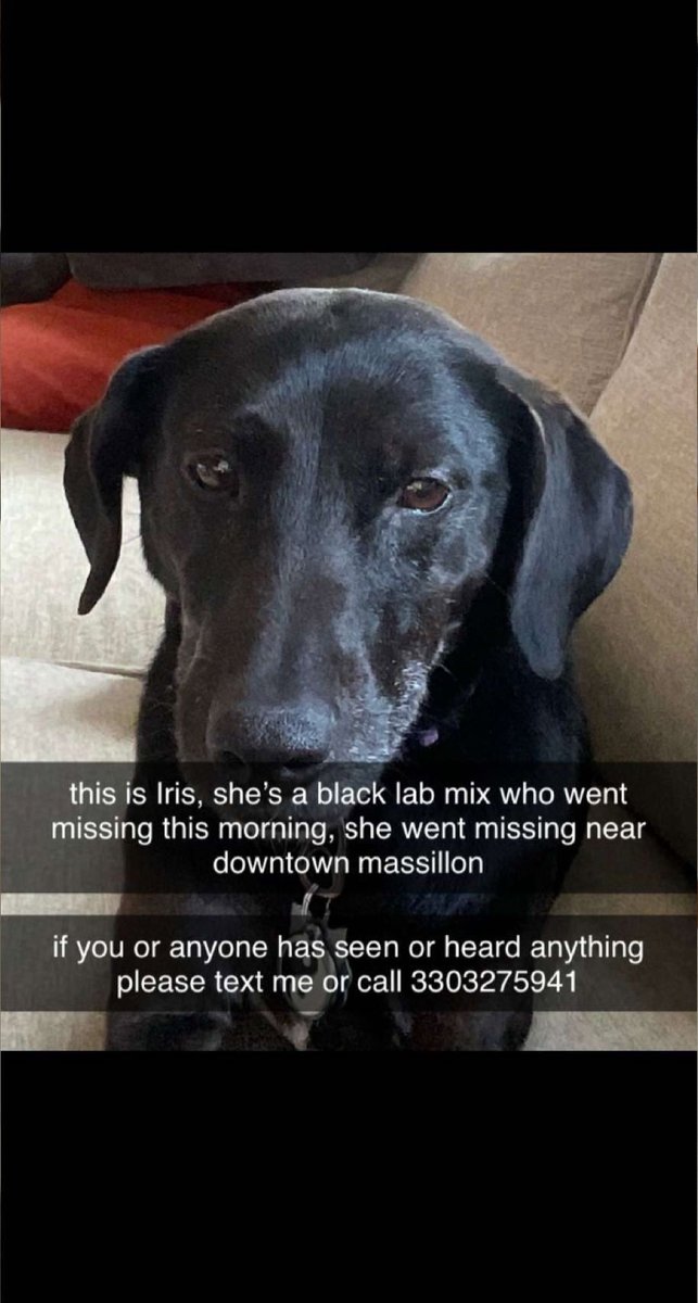 Kariane Elson (@karianeelson) on Twitter photo 