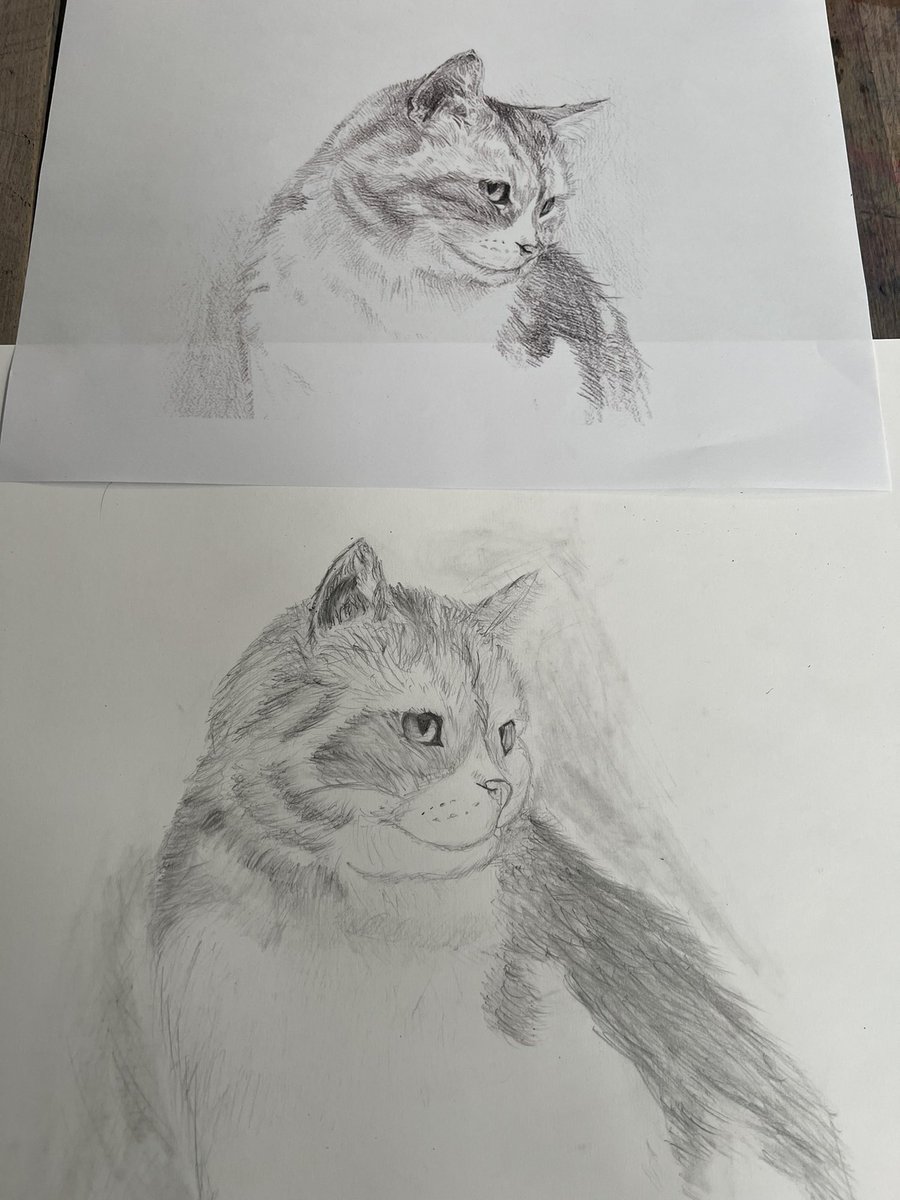MissThompsonART (@misskthompson_) on Twitter photo Some impressive artwork created by Matthew Y in Year 7!! Well done Matthew!! ✏️✏️ #futureartist #ks3artclub <a href="/TeamMoreton7/">Moreton Year 7</a> Some impressive artwork created by Matthew Y in Year 7!! Well done Matthew!! ✏️✏️ #futureartist #ks3artclub <a href="/TeamMoreton7/">Moreton Year 7</a>